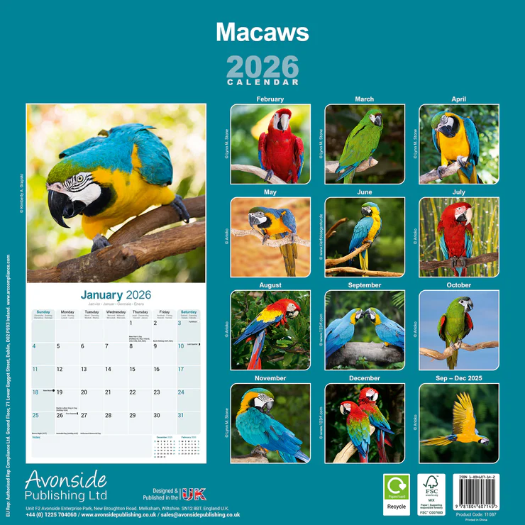 Calendar 2025 - Macaws