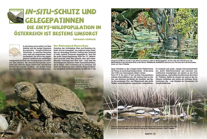 Marginata 46 - Die Europäische Sumpfschildkröte