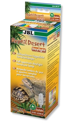 Reptil Desert Daylight 