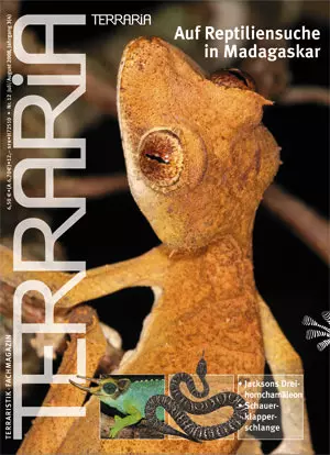 Terraria Nr. 12, Auf Reptiliensuche in Madagaskar