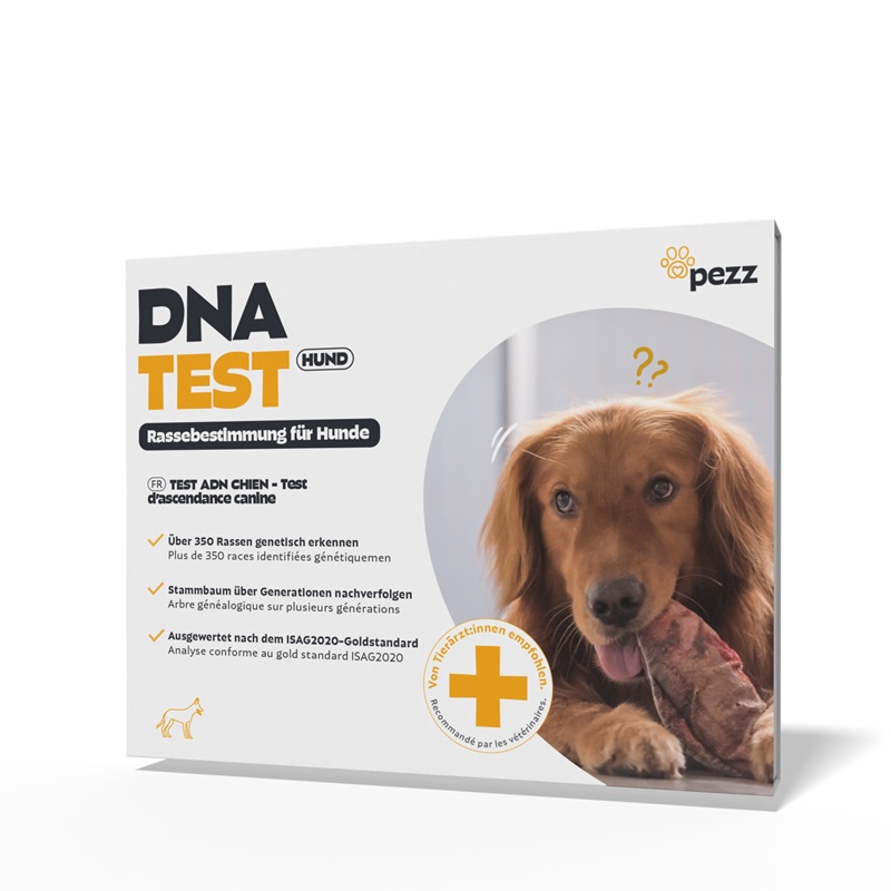 DNA-Test Rassenbestimmung für Hunde