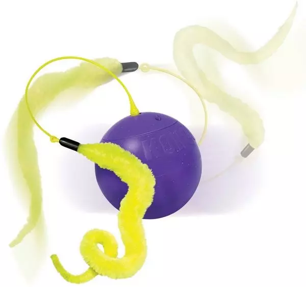 Kong Katzenspielzeug Whirlwind Purrsuit