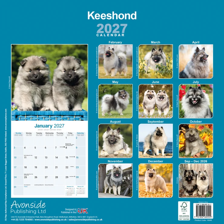 Calendar 2026 Wolfspitz - Keeshond - German Spitz