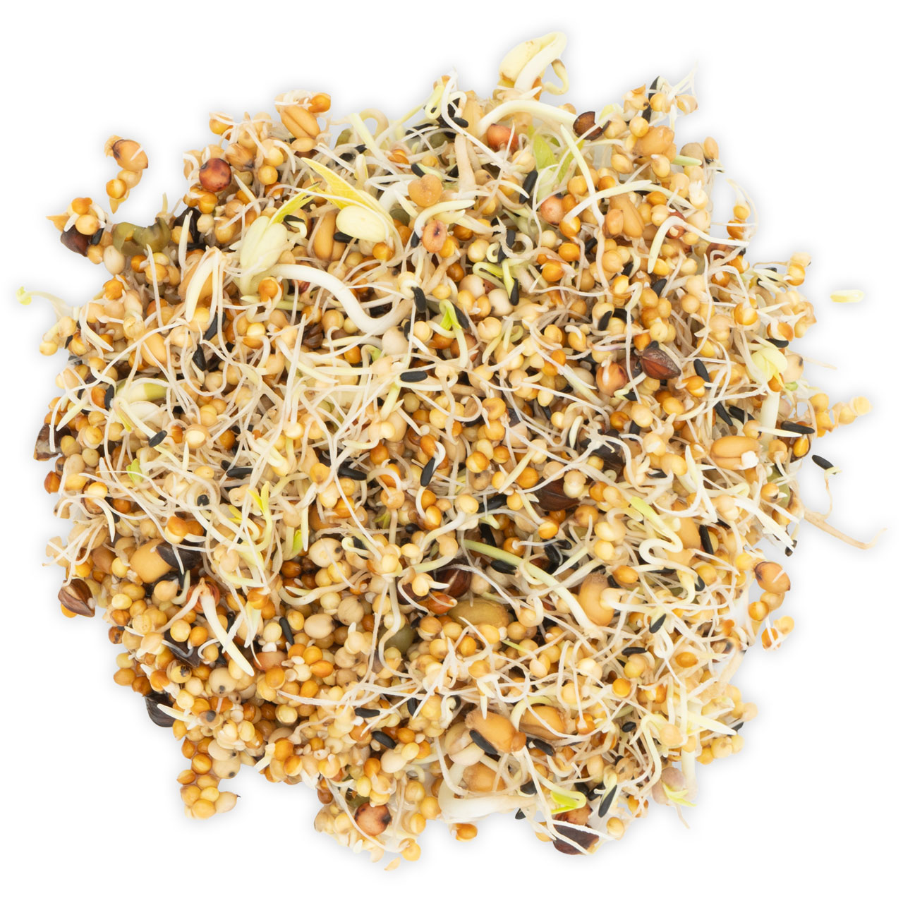 Mangime germogliato per pappagallini e canarini 1kg