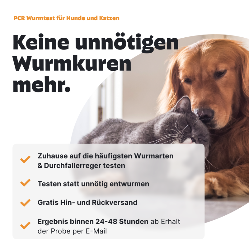 PCR Wurmtest für Hunde und Katzen