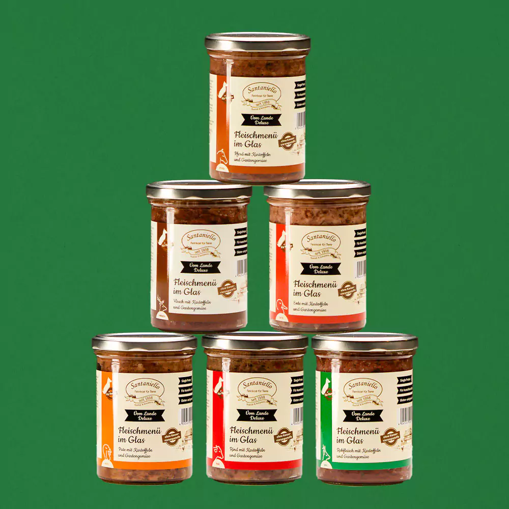 Fleischmenü im Glas - 400g