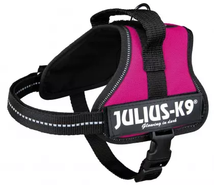 Julius K9 Powergeschirr fuchsia
