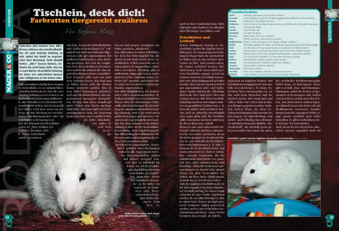 rodentia-72-1 Rodentia 72 - Animal Hoarding
