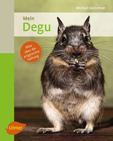 Ulmer Mein Degu - Michael Kürschner