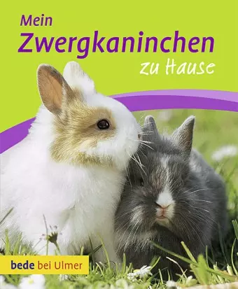 Bede Mein Zwergkaninchen zu Hause