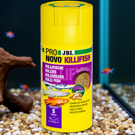 Boîte jaune JBL PRONOVO KILLIFISH Grano S nourriture pour poissons, aquarium avec poissons en arrière-plan.