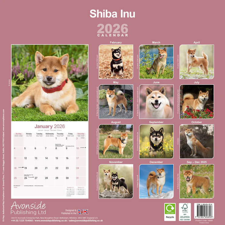 Kalender 2026 Shiba Inu Kalender 2026 Shiba Inu