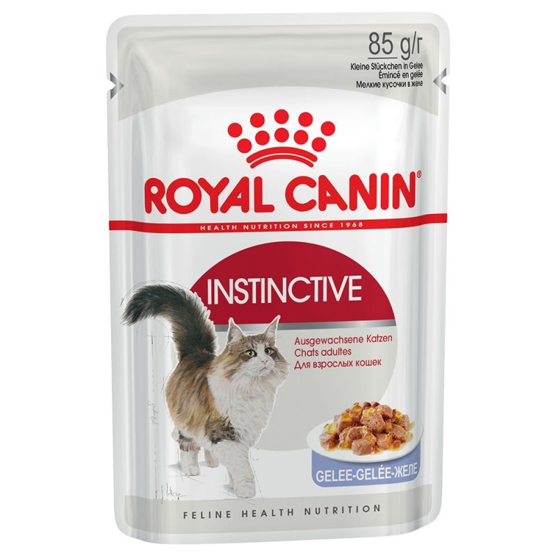 Royal Canin Katzenfutter - Instictive Gelee