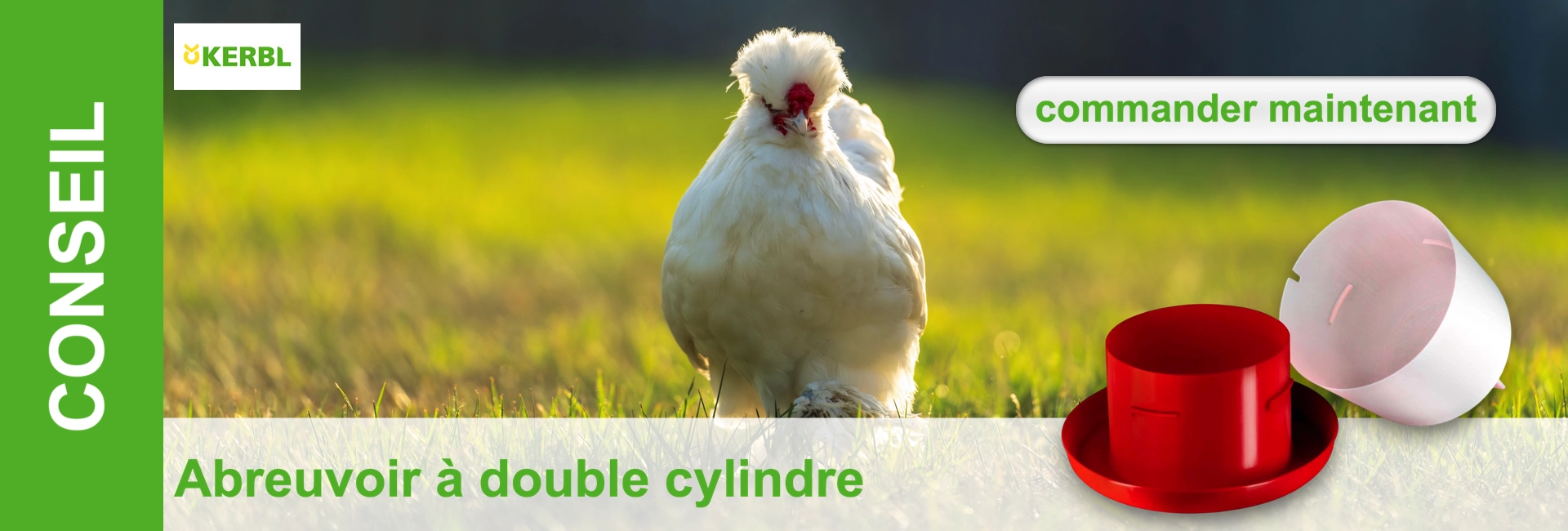 Poule majestueuse à huppe blanche et crête rouge, dans un champ verdoyant et ensoleillé. À l’avant droit, deux abreuvoirs : un rouge vif debout, l’autre cylindrique blanc-rose couché. À gauche, bande verte « CONSEIL ».