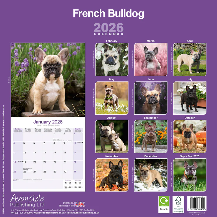 Calendar 2025 French Bulldog