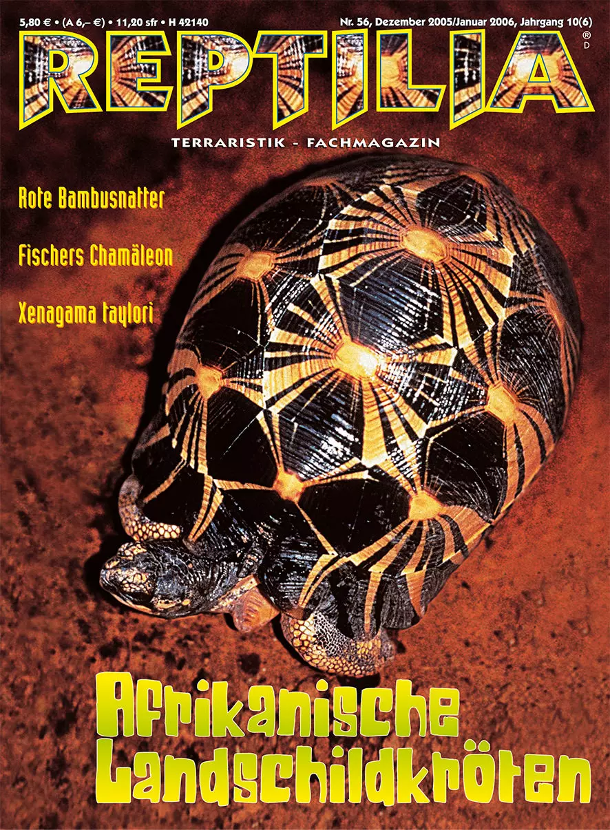 Reptilia 56 - Afrikanische Landschildkröten