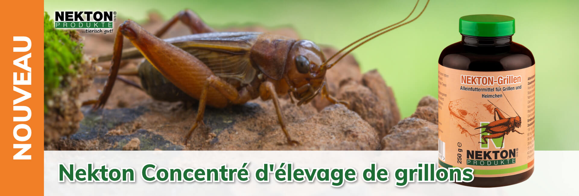 Nekton Concentré d'élevage de grillons