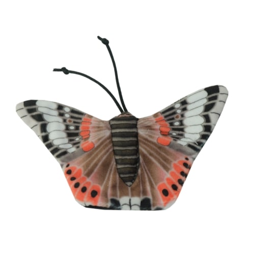 Wild Life Collection Schmetterling