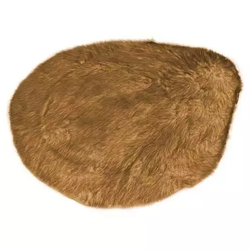 Fellfarbe: caramel