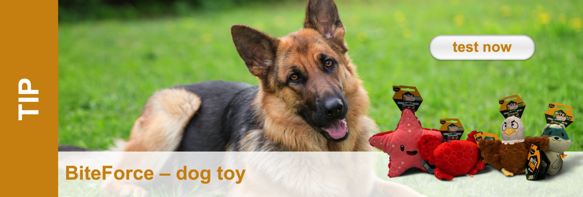 A sheepdog lies in the grass with several soft toy dogs in the foreground. A button with "test now" is floating.