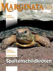 Marginata 37 - Spaltenschildkröten