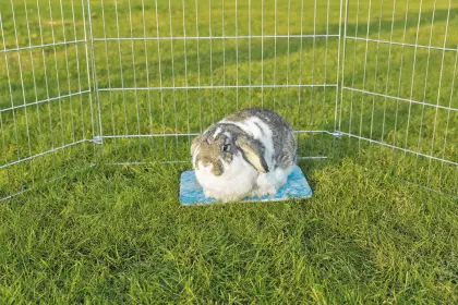 Keramik Kühlplatte Kaninchen