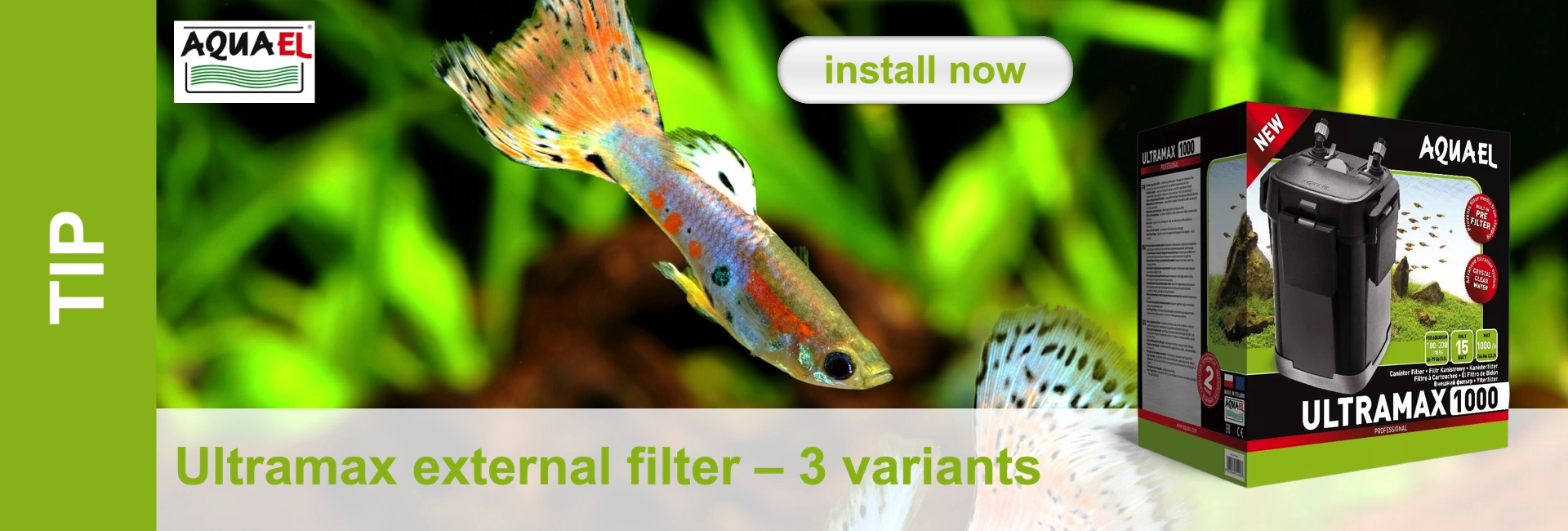 A guppy swims against a blurred background of aquarium plants, next to a product package for theAquaelUltramax 1000 filter.