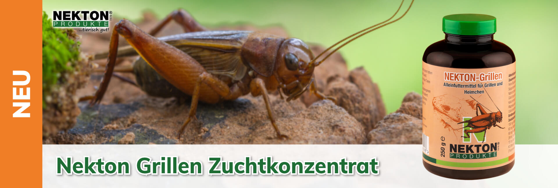 Nekton Concentrato di allevamento per grilli