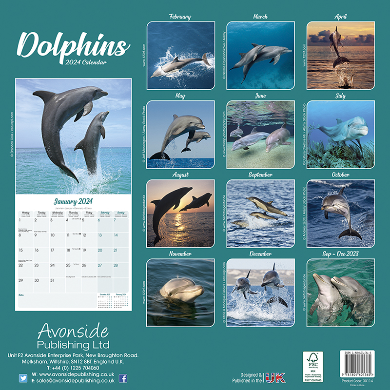 Kalender 2024 Delfine - Dolphins - Delphine