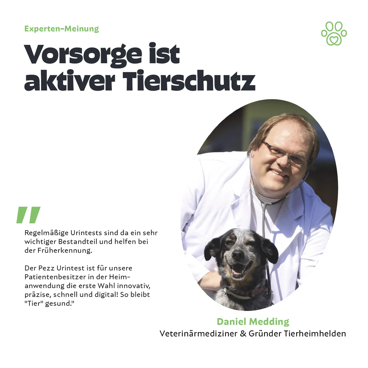 Urintest Kit für Katzen