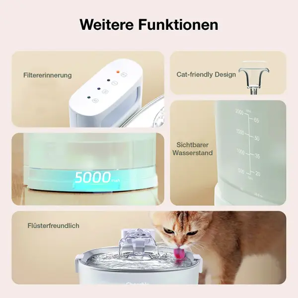 Fontaine Cheerble Elfin E1+