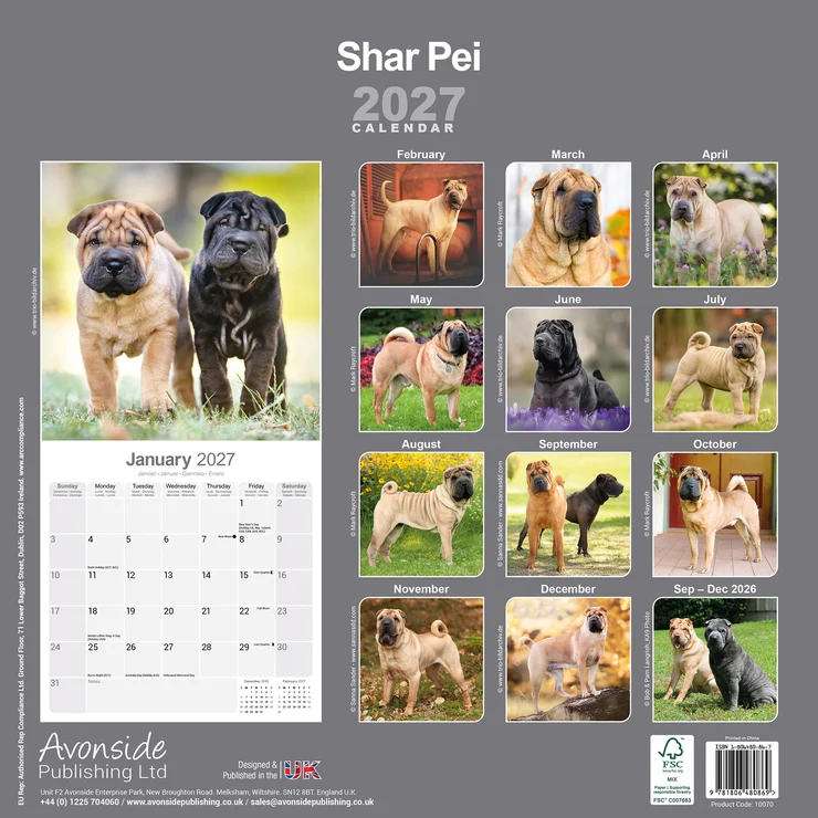 Kalender 2027 Shar Pei