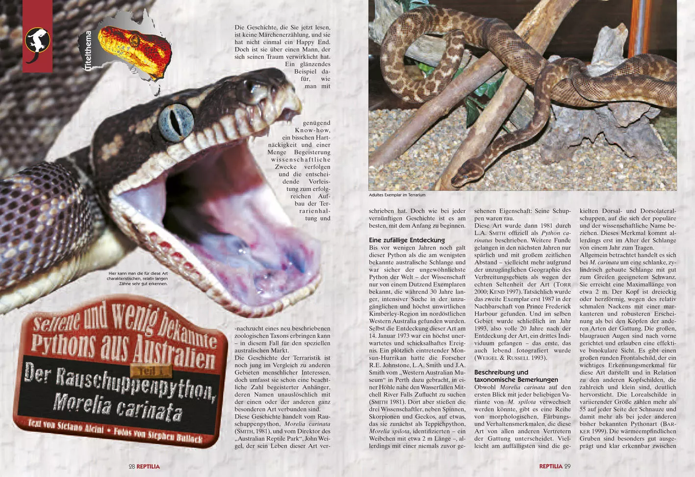 Reptilia 79 - Australische Pythons