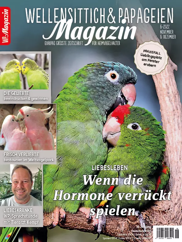 WP Magazin Juli/August 2023