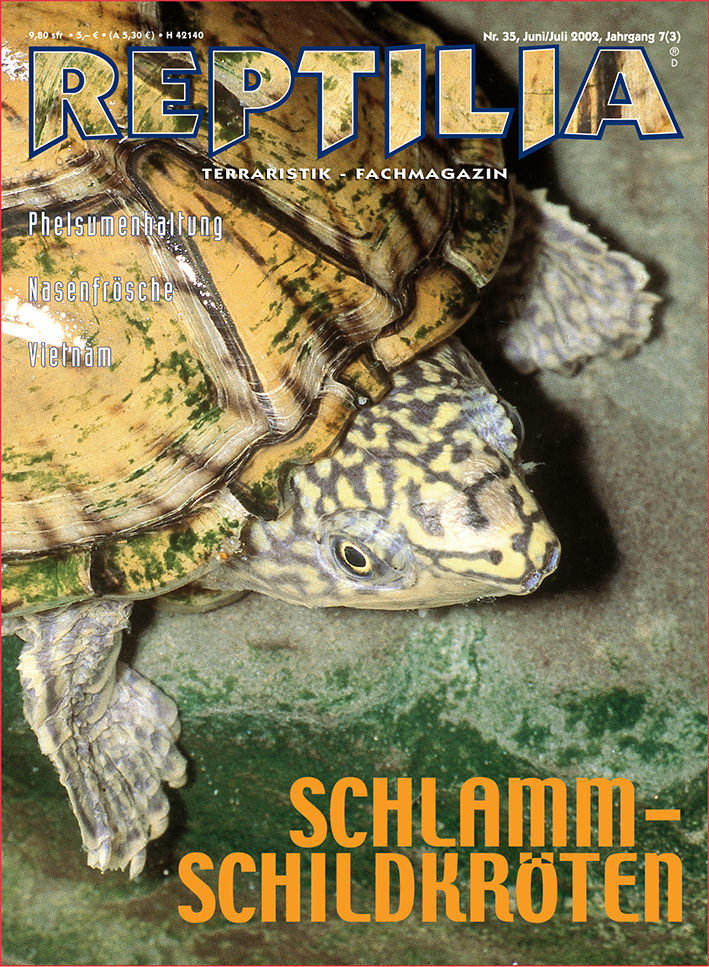 Reptilia 35 - Schlammschildkröten