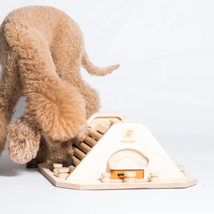 My Intelligent Pets - Pyramid