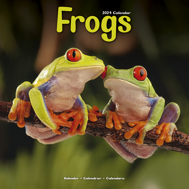 Kalender 2024 Frogs - Frösche
