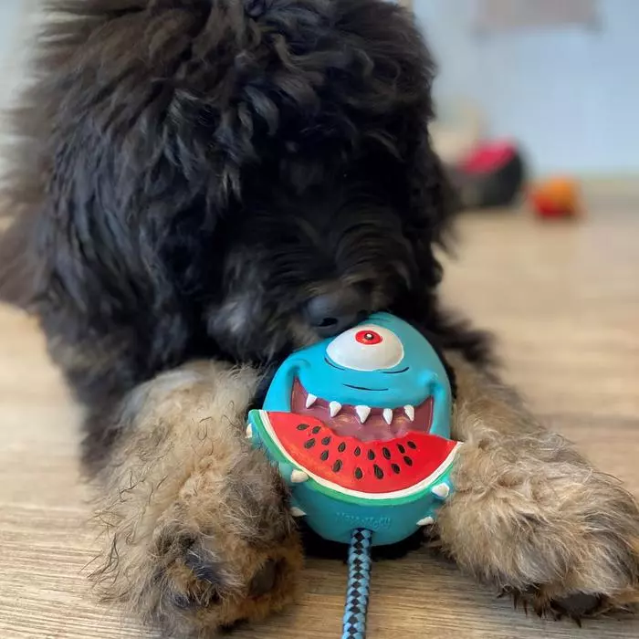 Snugglemonster Bubba King mit Hund