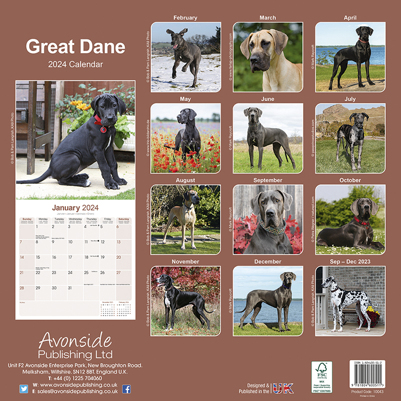 Kalender 2024 Deutsche Dogge - Great Dane