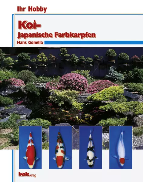 Bede Koi - Japanische Farbkarpfen