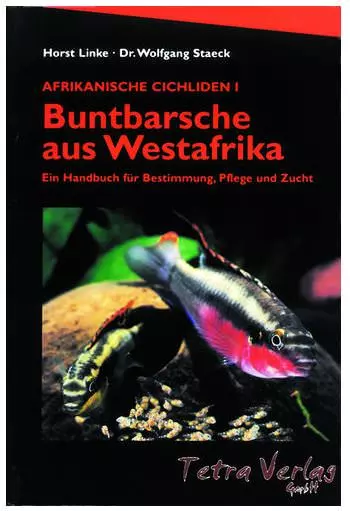Buntbarsche aus Westafrika