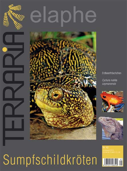 Terraria 42 - Sumpfschildkröten