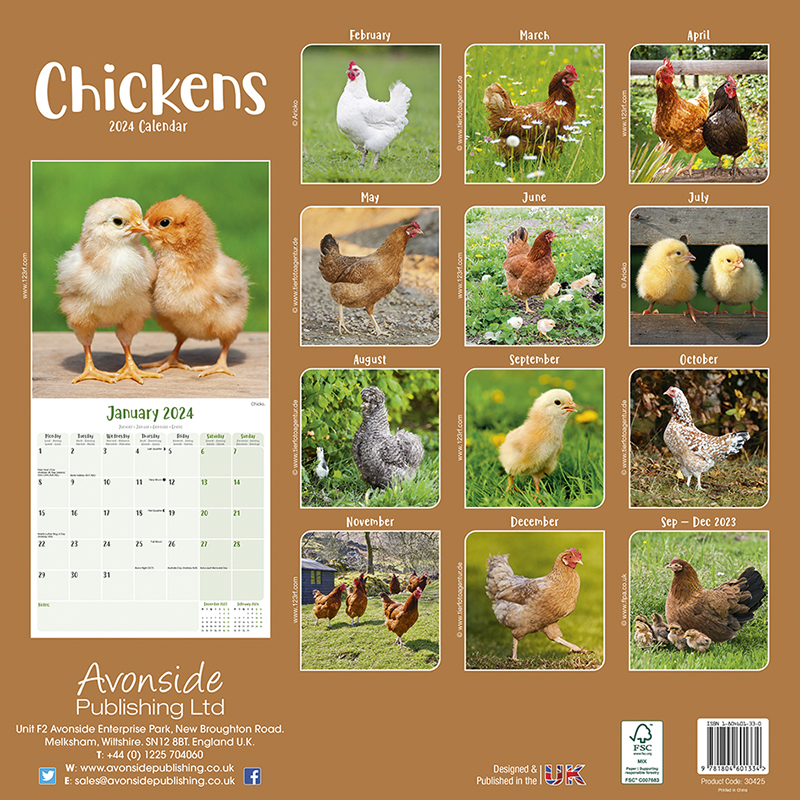 Kalender 2024 Hühner - Huhn - Chickens