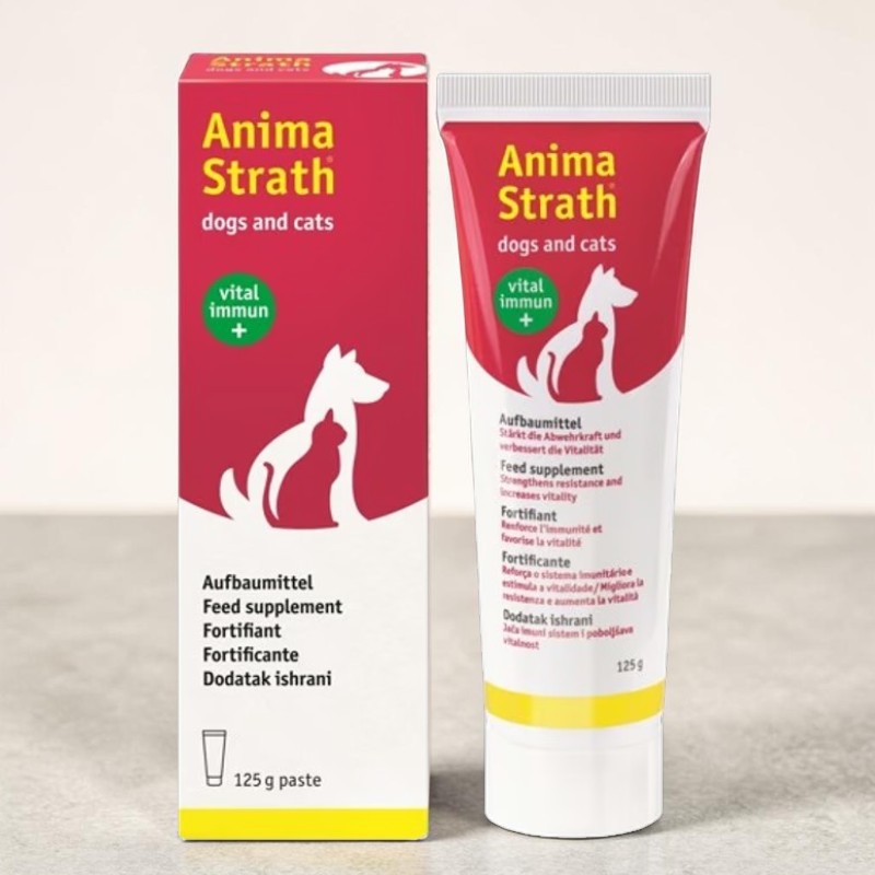 Rote-weiße Verpackung des Nahrungsergänzungsmittels Anima Strath für Hunde und Katzen: links eine rechteckige Schachtel, rechts eine Tube. Beide mit Hund/Katze-Logo und Aufdruck „vital immun +“. „125 g paste“.