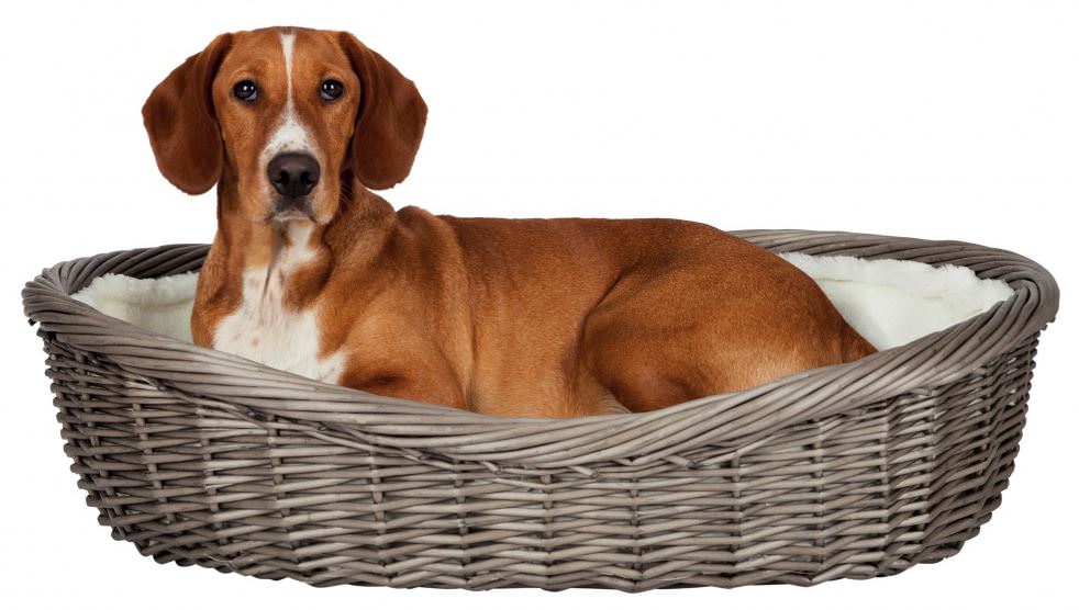 Trixie Dog Basket - wicker