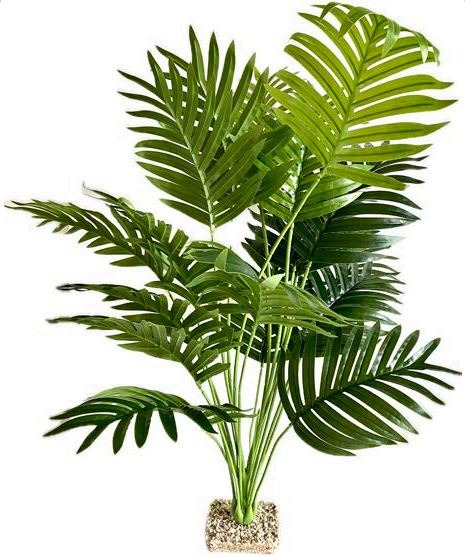 Terra Palme 60cm Terra Palme 60cm