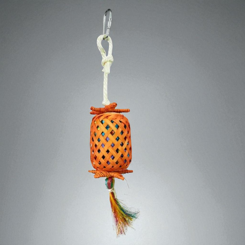Back Zoo Nature Lantern Pinata 