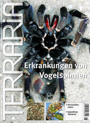 Terraria Nr. 19, Erkrankungen von Vogelspinnen