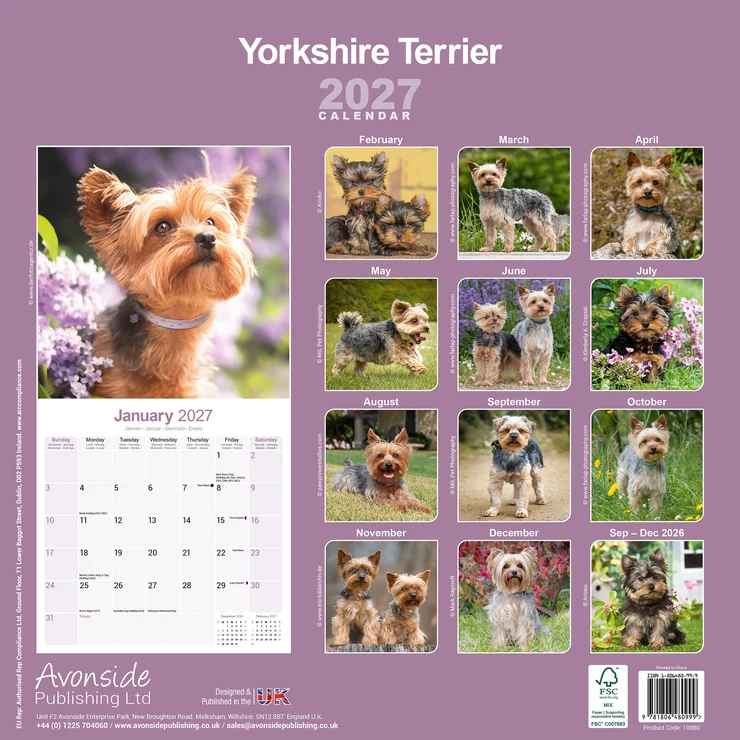 Kalender 2027 Yorkshire Terrier