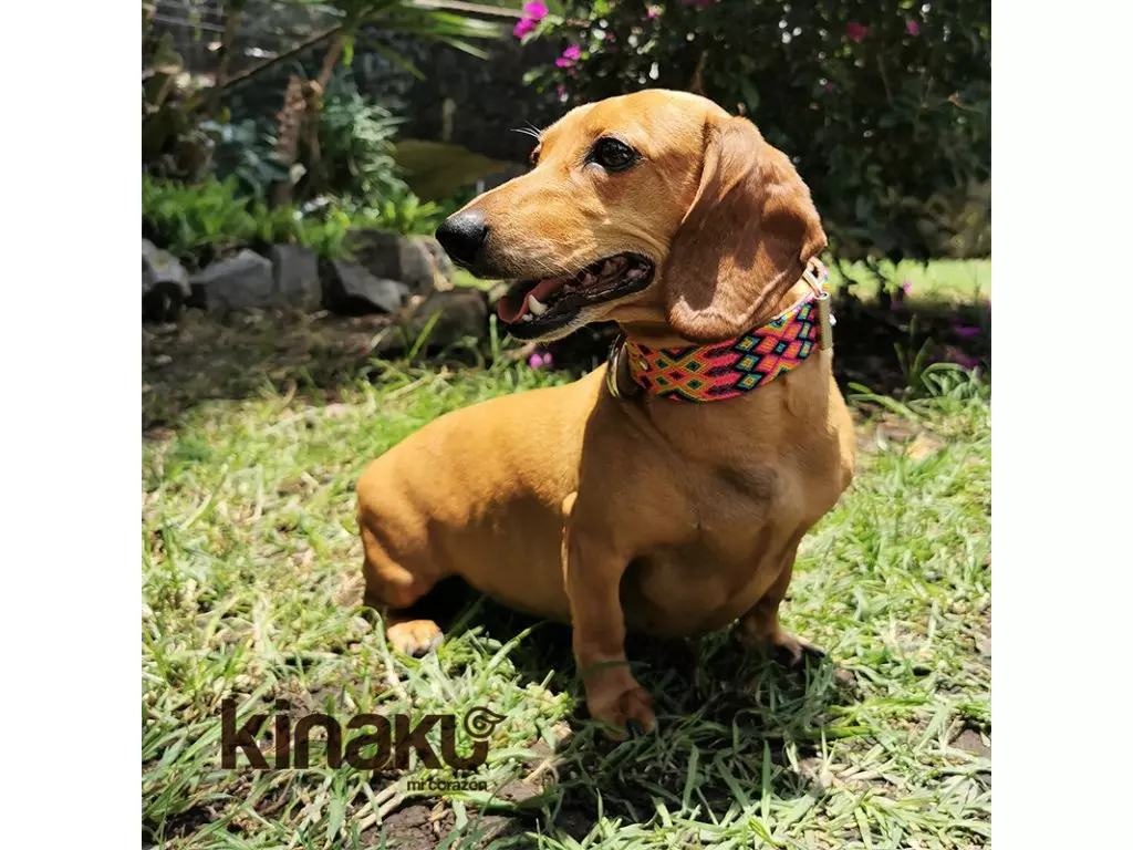 Kinakú collier mexicain Merida